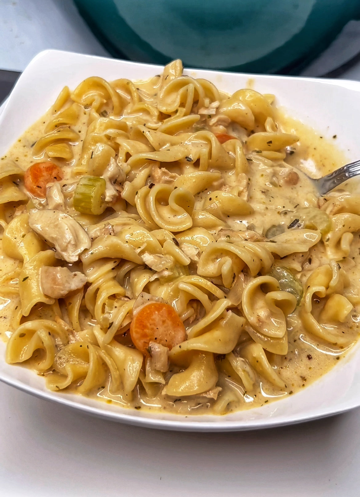 Chicken Noodle Soup - Aida's Kitchen